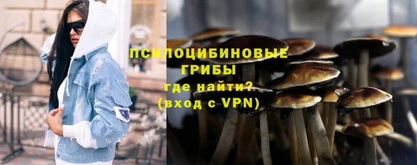 круглые Бородино